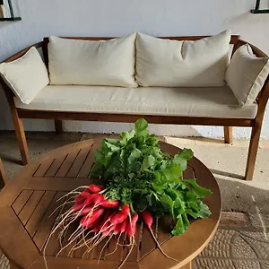  Сasa de vacaciones Sevilla, Olivares España